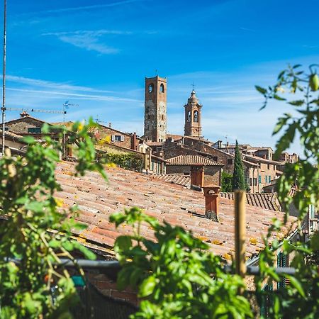 Casa Grinta B&B Citta della Pieve Ngoại thất bức ảnh